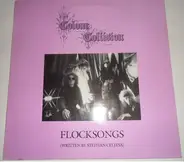 Colour Collision - Flocksongs