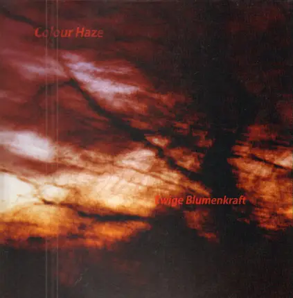 Colour Haze - Ewige Blumenkraft