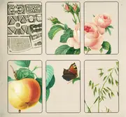 Double LP - Colour Haze - In Her Garden