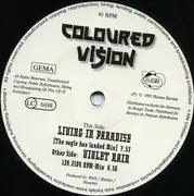 12inch Vinyl Single - Coloured Vision - Violet Rain