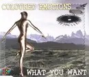 CD Single - Coloured Emotions - What You Want