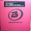 12inch Vinyl Single - Colourful Karma Featuring Terra Deva - For The Music