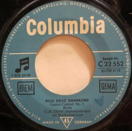 Cor Steyn - Pico Bello Hammond