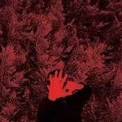 Cory Hanson - The Unborn Capilatist From Limbo
