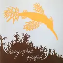 CD - Corespondents - Hairy Ghost Pipefish