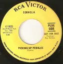7inch Vinyl Single - Cornelia - Picking Up Pebbles