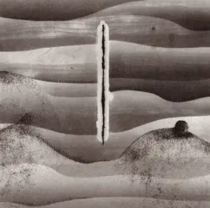 Cornelius - Mellow Waves