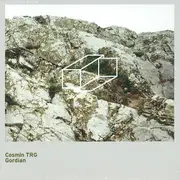 Double LP - Cosmin TRG - Gordian - Gatefold, White Vinyl