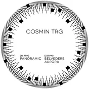 Cosmin TRG - Panoramic
