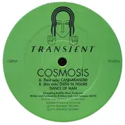 12inch Vinyl Single - Cosmosis - Cannabanoid E.P.