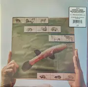 LP - Cotton Jones - The River Strumming