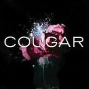 Cougar