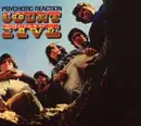 CD - Count Five - Psychotic Reaction