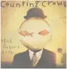 Double LP - Counting Crows - This Desert Life