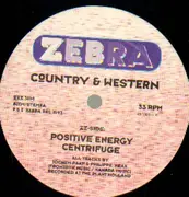 12inch Vinyl Single - Country & Western - Reincarnation