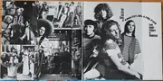 Double LP - Country Joe And The Fish - The Life And Times Of Country Joe And The Fish