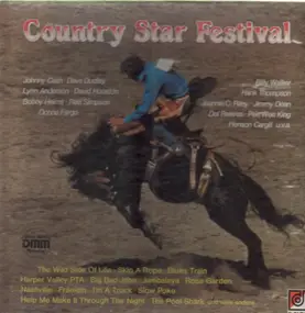 Country Sampler - Country Star Festival