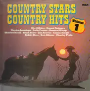 Country Sampler - Country Stars - Country Hits Vol. 1