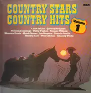 Country Sampler - Country Stars - Country Hits Vol. 1