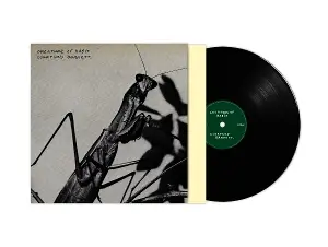 Courtney Barnett - Creature of Habit