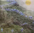 LP - Courtney Barnett - End Of The Day - Clear Milky vinyl