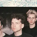 12inch Vinyl Single - Cox - Golden Waters