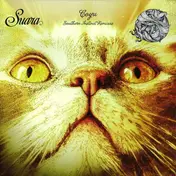 COYU - Southern Instinct Remixes