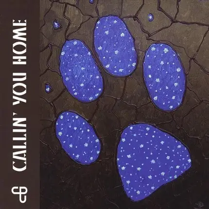 Coyote Poets Of The Universe - Callin' You Home