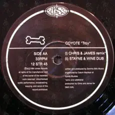 Coyote - Troy