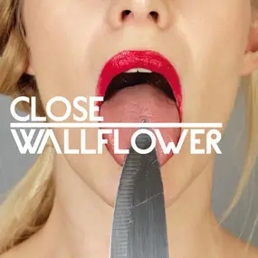 Close - Wallflower feat. Fink