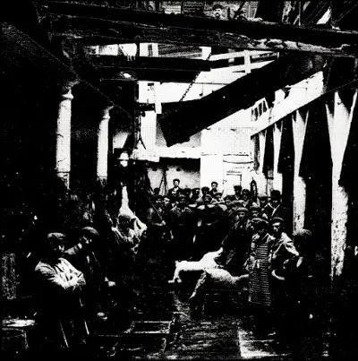 Closure / Mouth / Torn Apart / Bonestorm - Closure / Mouth / Torn Apart / Bonestorm