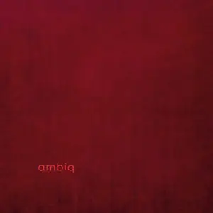 Claudio Puntin , Samuel Rohrer , Max Loderbauer - Ambiq