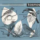 7inch Vinyl Single - Claus Fentzloff - Stimmen Einheimischer Vögel