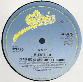 Clair Hicks And Love Exchange - In The Bush