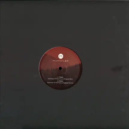 Claire Kenway - I See Danger In Your Eyes / Assholes Of The Future