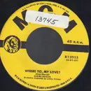 7inch Vinyl Single - Claire Hogan - Where To, My Love? / Please Do