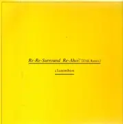 12inch Vinyl Single - Clammbon - Re-Re-Surround / Re-Ahoi! [ZAK Remix]