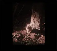 Clara Engel - Sanguinaria