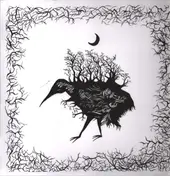 CLARA ENGEL - Hatching Under The Stars