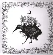 Clara Engel - Hatching Under The Stars