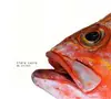CD - Clara Luzia - We Are Fish