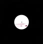 click box - Shades