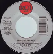 Clint Black - Where Are You Now
