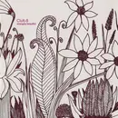 CD - Club 8 - Strangely Beautiful