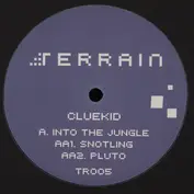 Terrain Records