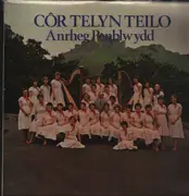 LP - Côr Telyn Teilo - Anrheg Penblwydd