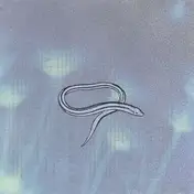 Crooked Fingers - Bring on the Snakes