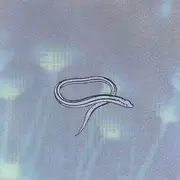 CD - Crooked Fingers - Bring On The Snakes