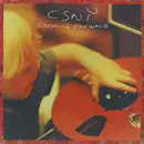 Double LP - Crosby, Stills, Nash & Young - Looking Forward