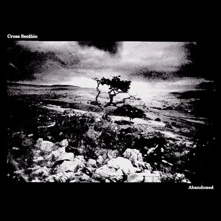 Cross Section - Abandoned